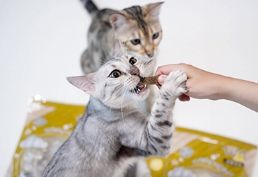 自己做最安心，也最放心